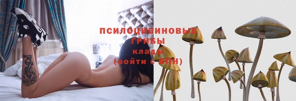 скорость Михайловск