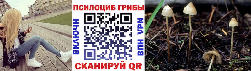 наркота  Калтан  MEGA ССЫЛКА  Псилоцибиновые грибы GOLDEN TEACHER 
